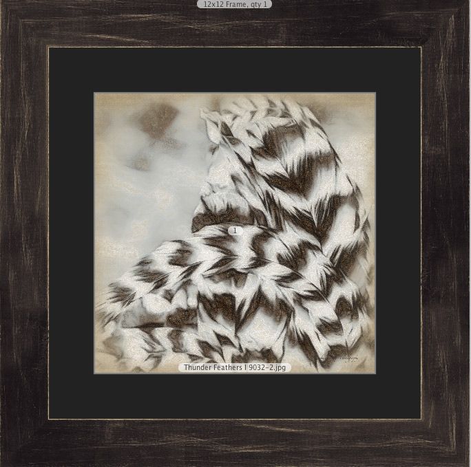 Thunder Feathers I showing single black mat