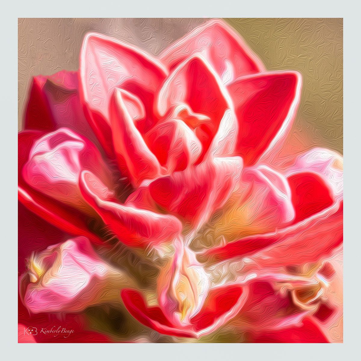 Pink Indian Paintbrush