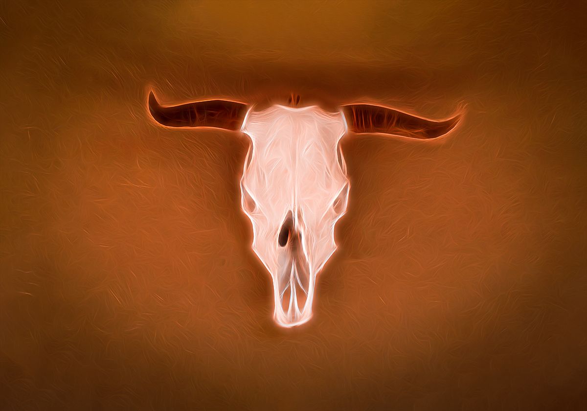 Lighting Skull natural wood box